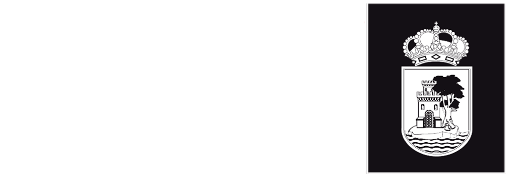 Concello de Vigo